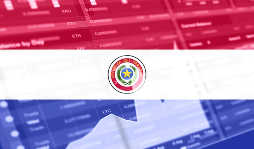 artwork for: Despite Internal Resistance, Paraguay Clears the Way for Crypto Regulation